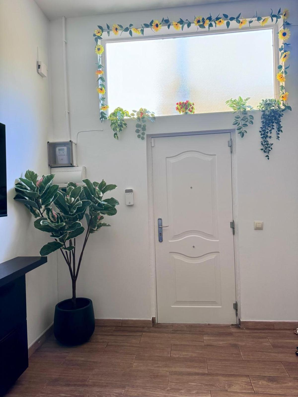 Pamis Apartament Sants, バルセロナ エクステリア 写真