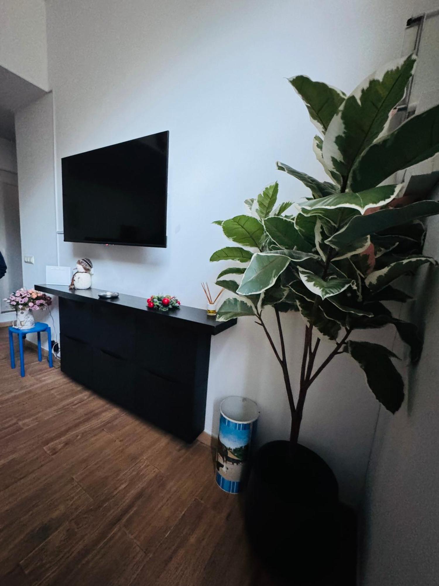 Pamis Apartament Sants, バルセロナ エクステリア 写真